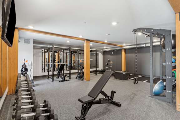 A gym with a variety of equipment including dumbbells, weight plates, and a bench press.