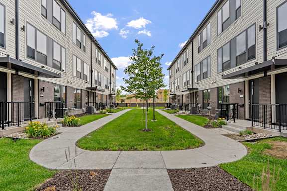 A tree in the middle of a grassy area between two buildings.