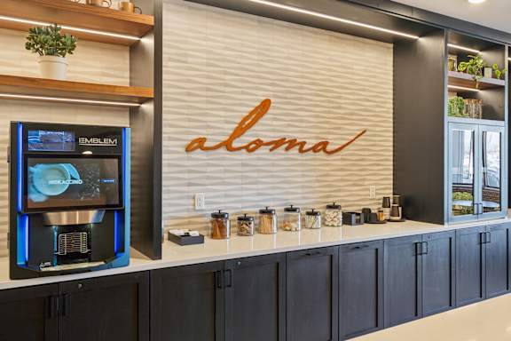 A modern kitchen with a counter displaying a variety of spices and herbs.