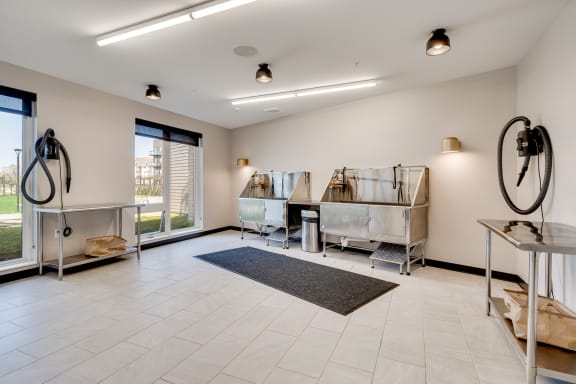 a room filled with furniture and a rug