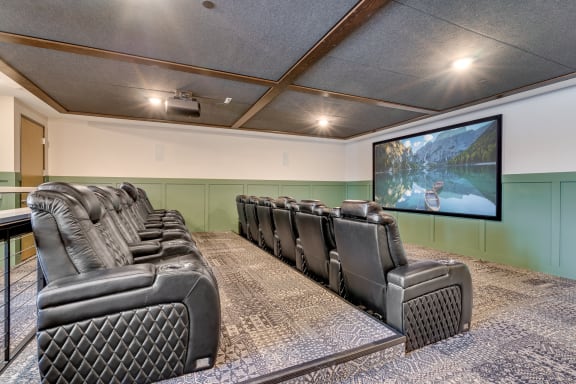 the theater room at the callaway house austin