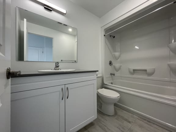 Bayfield Tower Apartments 2 bedroom 2 bathroom variation A bathroom with vanity, mirror, toilet and tub with a shower