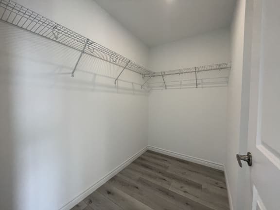 Bayfield Tower 2 bedroom 2 bathroom variation E walk-in closet in the primary bedroom