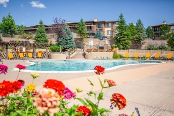 Swimming Pool With Relaxing Sundecks at Echo Ridge Apartments, Castle Rock, CO