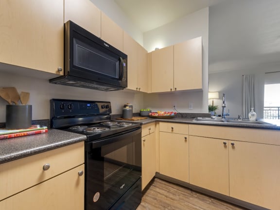 Large Countertops at Echo Ridge