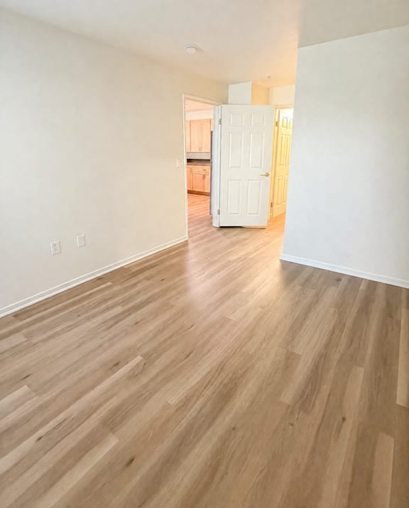 A room with wooden flooring and a white door.