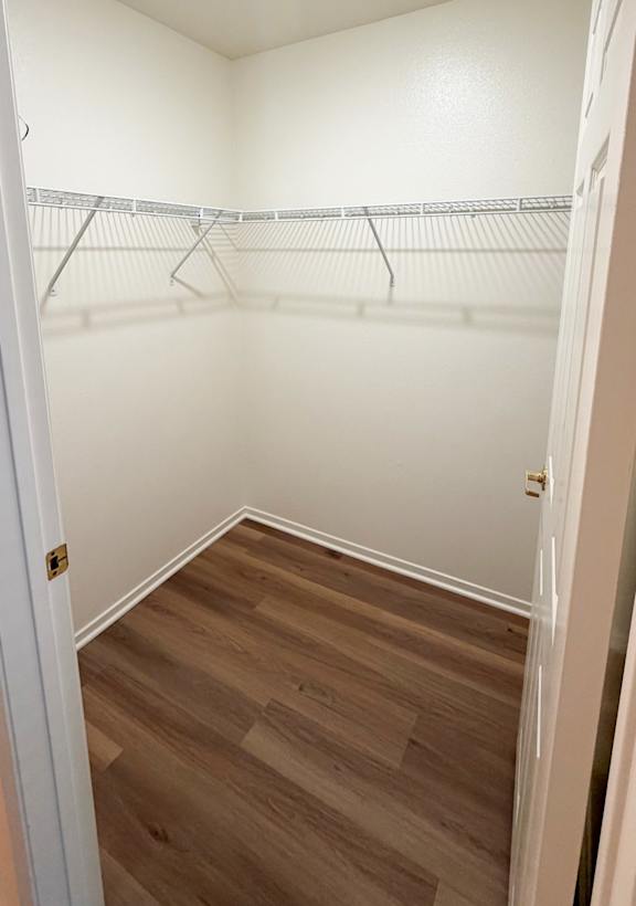 A white closet with wood flooring and a white door.