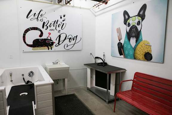 Dog Wash