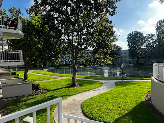 A tree in a grassy area with a white fence in the foreground.