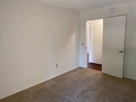 1-Bedroom's Bedroom with Carpet
