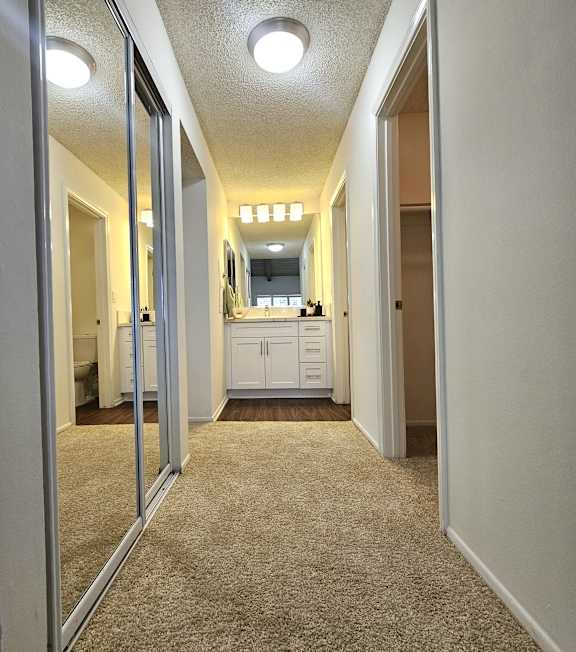 A hallway with a mirrored door and a carpeted floor.