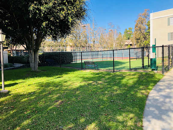 A tree is in the corner of a grassy area.