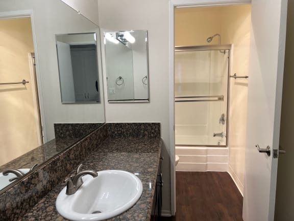 a bathroom with a sink and a mirror and a shower