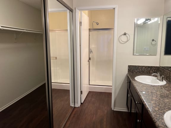 a bathroom with a sink and a shower and a mirror