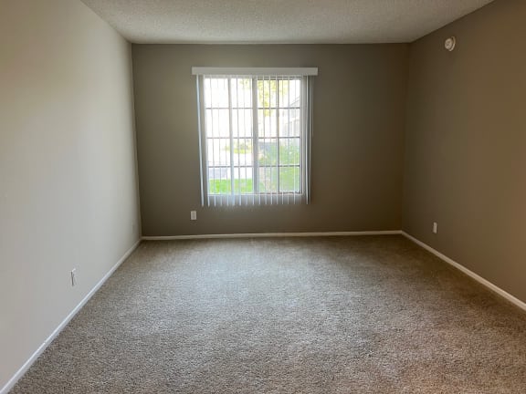 an empty room with carpet and a window