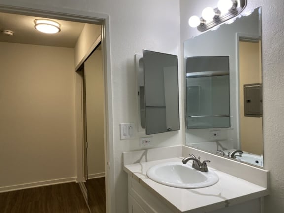 a bathroom with a sink and a mirror