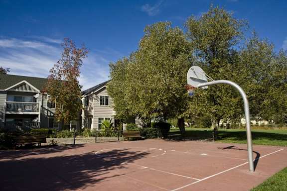 a basketball court in a park in front of houses