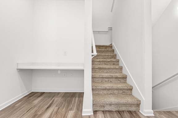A staircase with a carpeted runner and white risers.