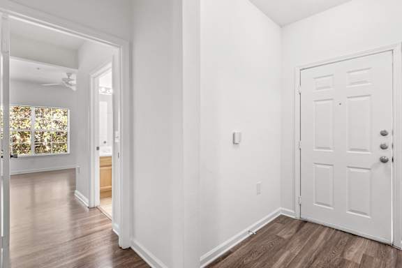 A white door is on the right side of the image.