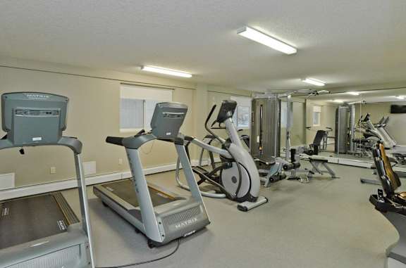 A gym with treadmills, elliptical machines, and other exercise equipment.