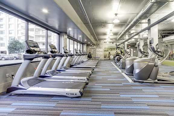Renovated Apartments in National Landing VA for Rent