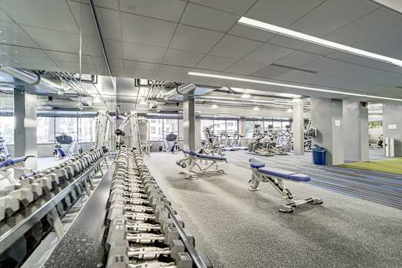 Modern Apartments in National Landing VA for Rent