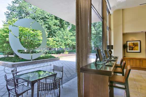 Modern Apartments in National Landing VA for Rent