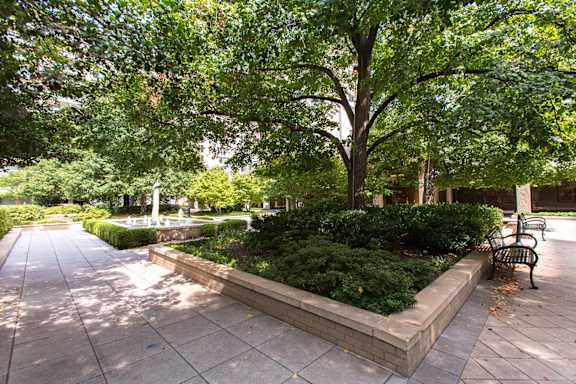 Best Apartments in National Landing VA for Rent