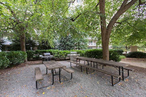 Renovated Apartments in National Landing VA for Rent