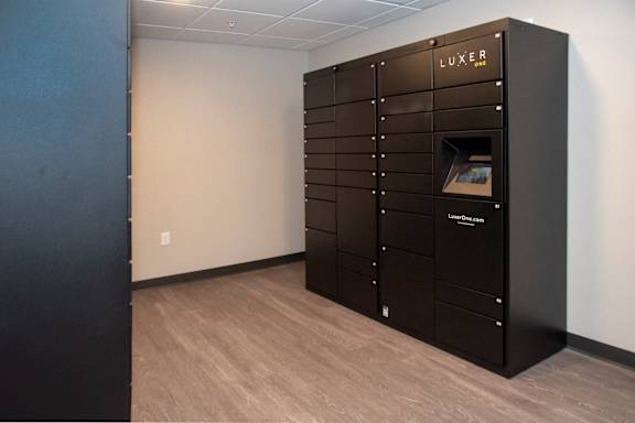 A black LUXER cabinet with a glass door is in the middle of a room.
