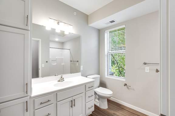 Cool Tone Bathroom