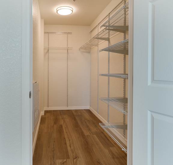 A walk-in closet with shelving and a light on the ceiling.