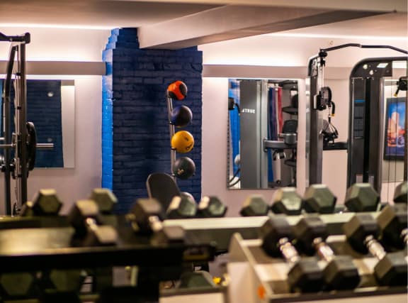a gym with weights and a brick wall