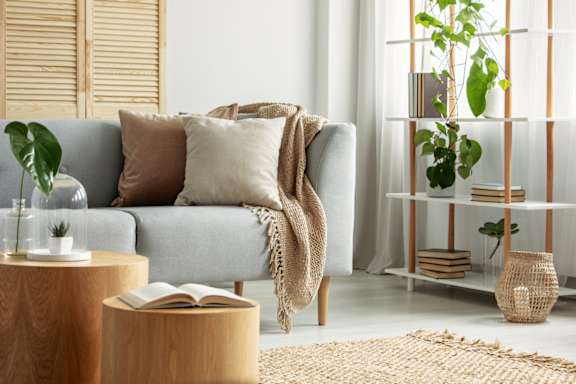 A living room with a grey couch, a wooden coffee table, and a shelf with plants.