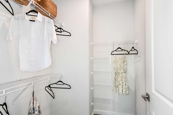 Walk-In Closets at The Gallery Luxury Apartments in Trinity FL