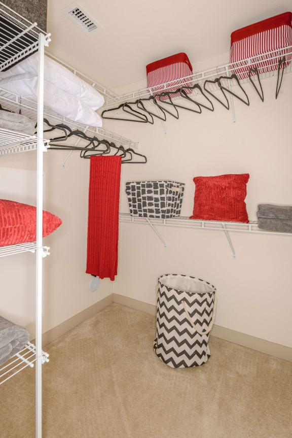 Walk-In Closets at Palm Ranch Luxury Apartments in Davie, FL