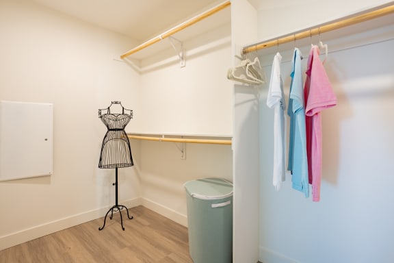 a walk in closet at Chandler Apartments in North Hollywood, North Hollywood, CA