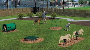 a man and two dogs playing in a park