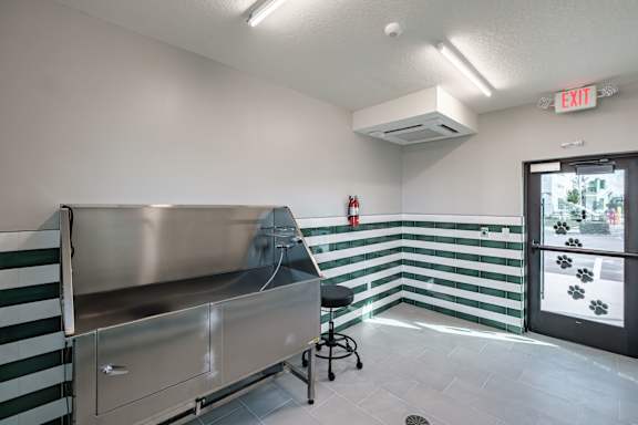 Pet Spa at The Palmeri Residences, Florida, 34104
