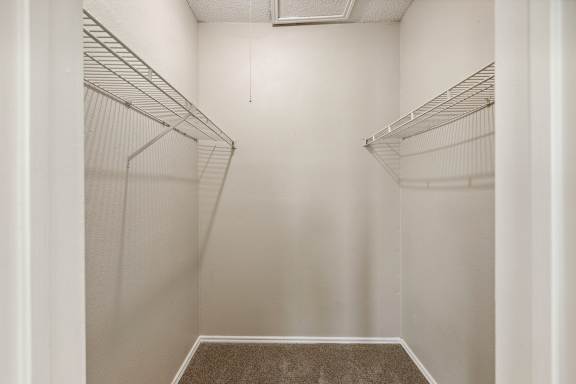 Empty walk-in closet with shelves and carpeted floor.