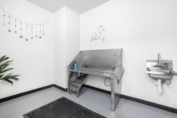 a pet spa at Apex apartments in Colorado Springs