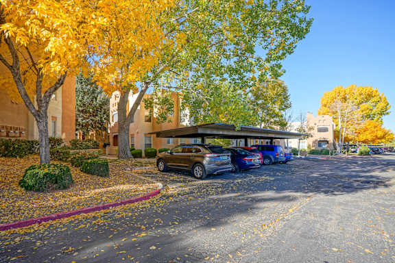A parking lot with cars and trees with yellow leaves.