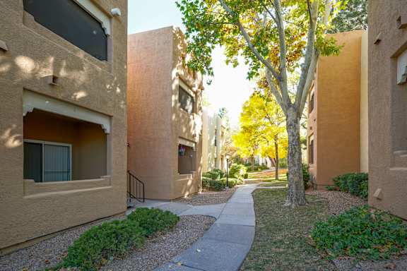 A tree with yellow leaves stands between two buildings.