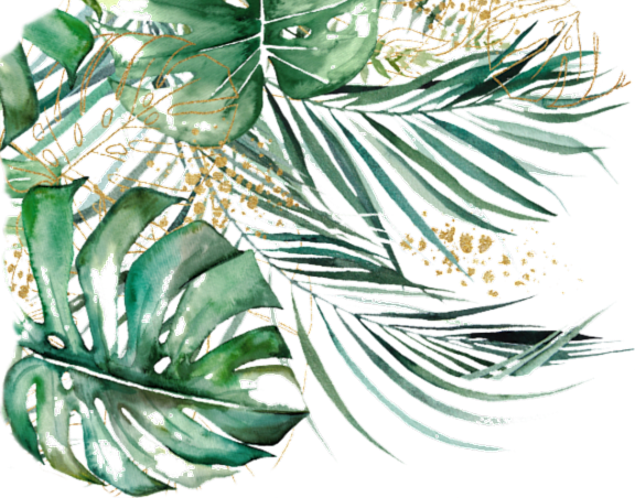 a watercolor illustration of leaves of a palm tree