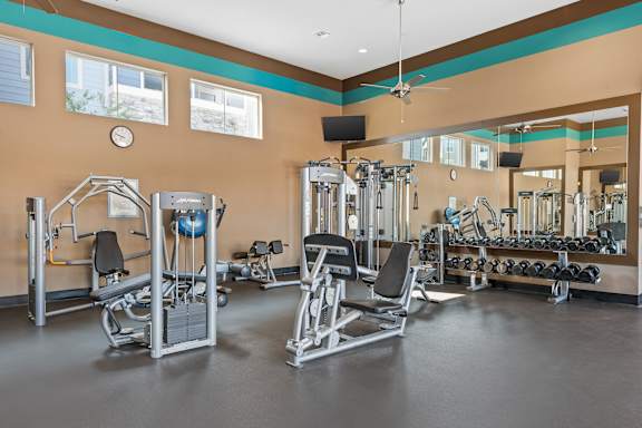 A gym with a variety of equipment including weights and a bench.