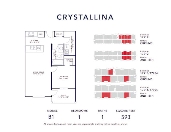 A diagram of a model B1 apartment layout with approximate square footage of 593.