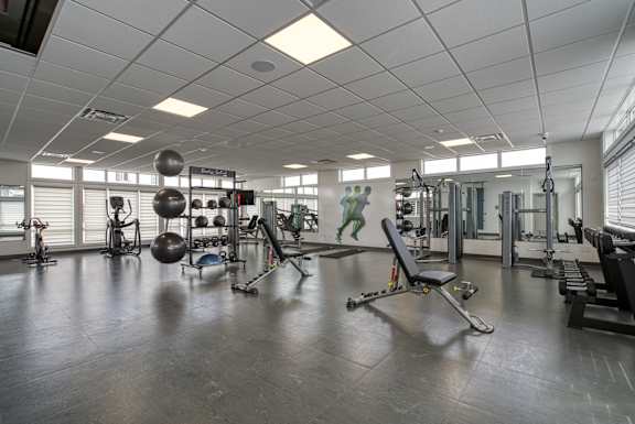 A gym with a variety of equipment including a weight bench, a medicine ball, and a squat rack.