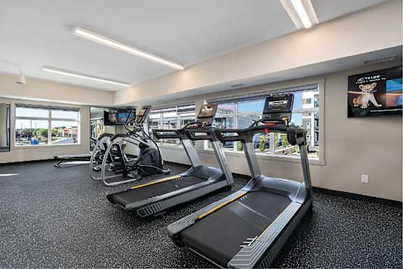 A gym with treadmills and exercise bikes.