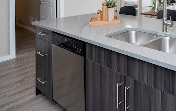 A modern kitchen with a dishwasher and a sink.
