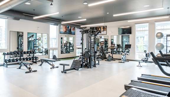 A spacious gym with a variety of equipment including treadmills, weights, and exercise machines.